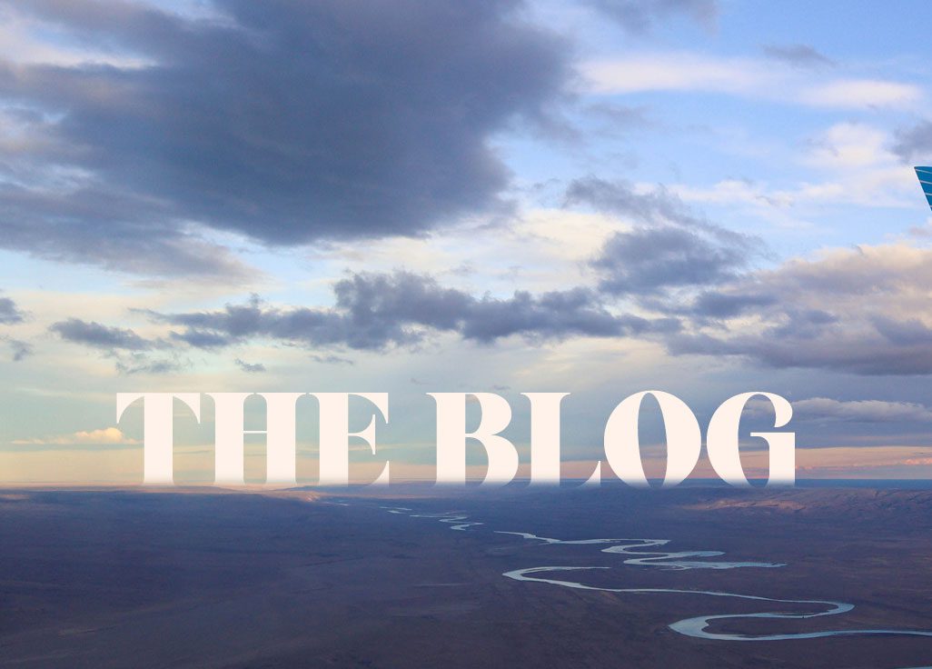 the blog mobile